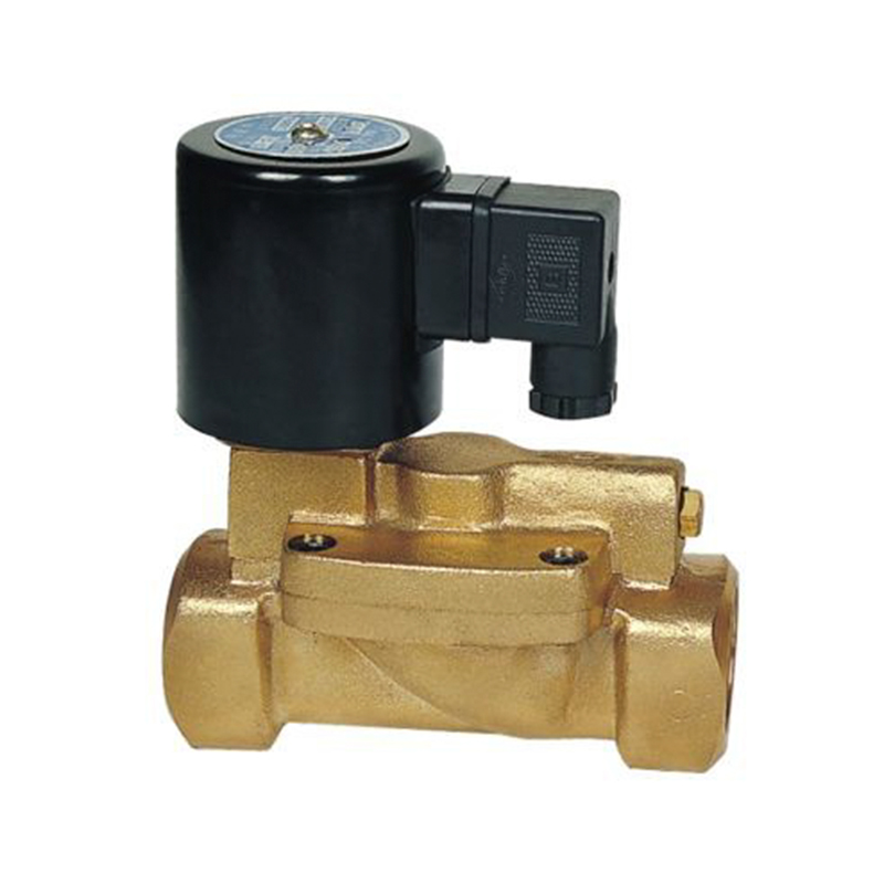 DF Series 24V 220V Solenoid Valve